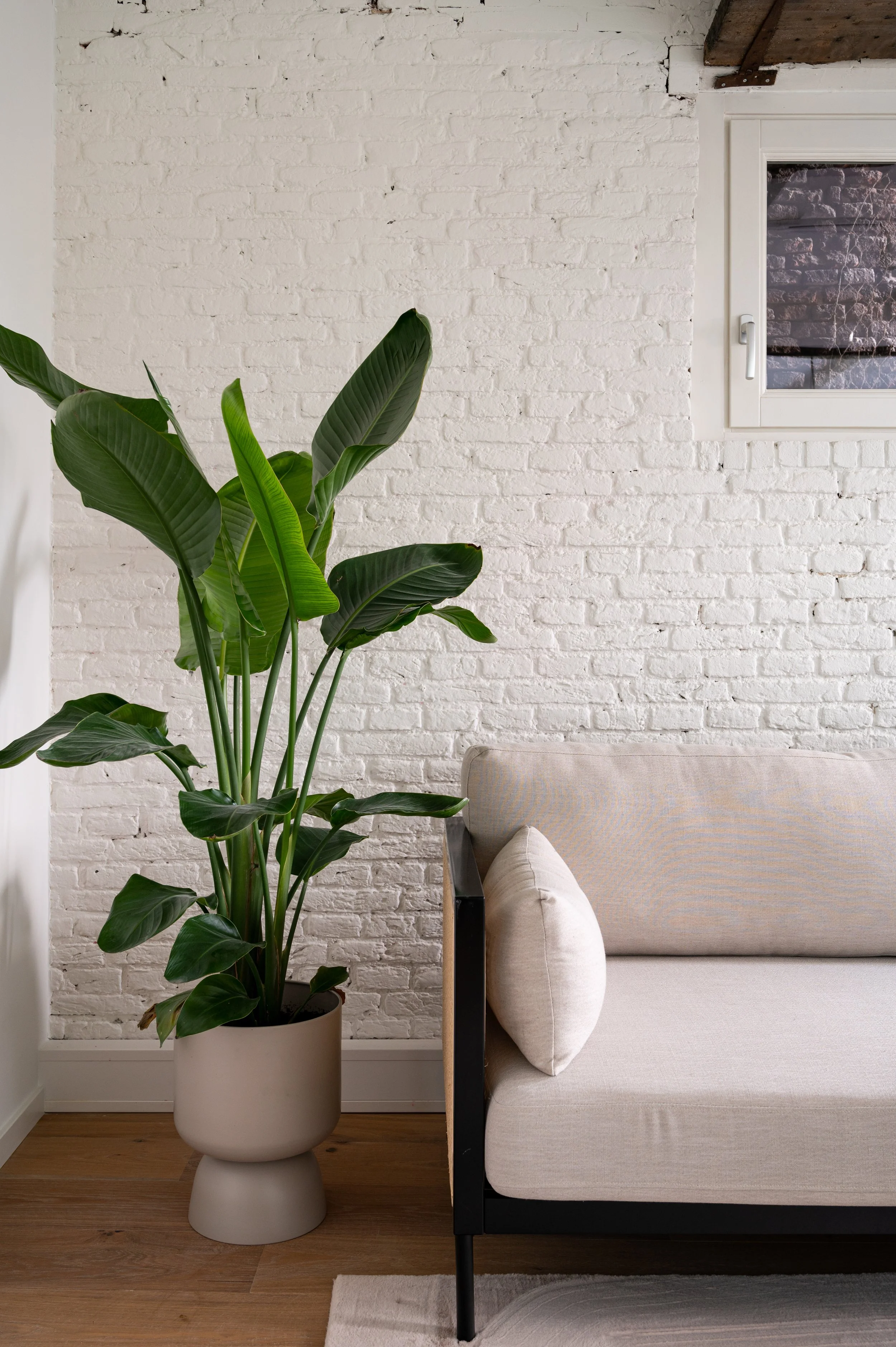Praktijkruimte met plant en bank
